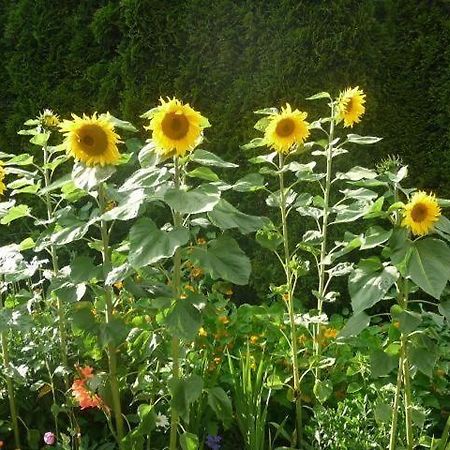 Ferienwohnung-Nr-1 Vohrenbach ภายนอก รูปภาพ